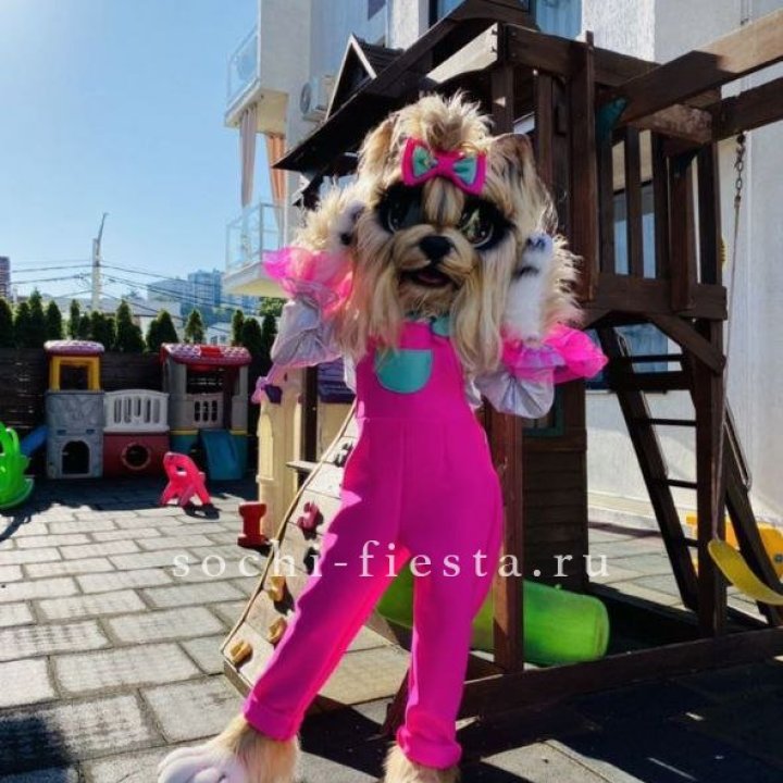 Аниматор Гламурная Собака в Орле