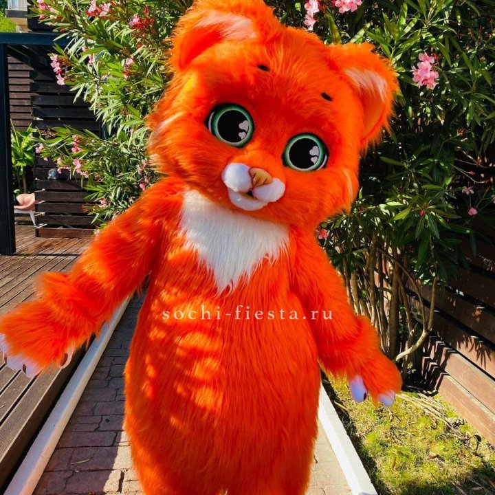 Аниматор Котик в Орле