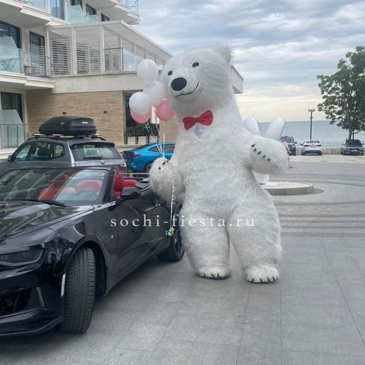 Аниматор Белый Медведь в Орле