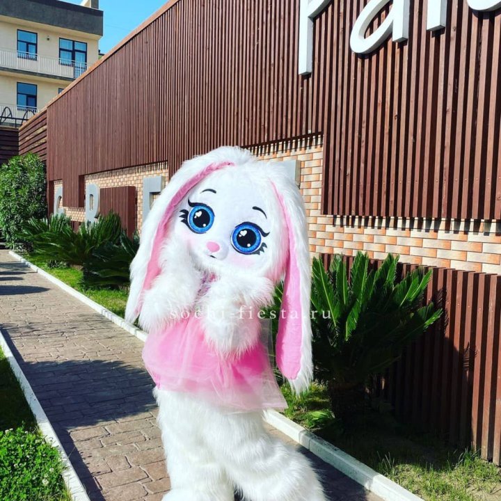 Аниматор Зайка в Орле