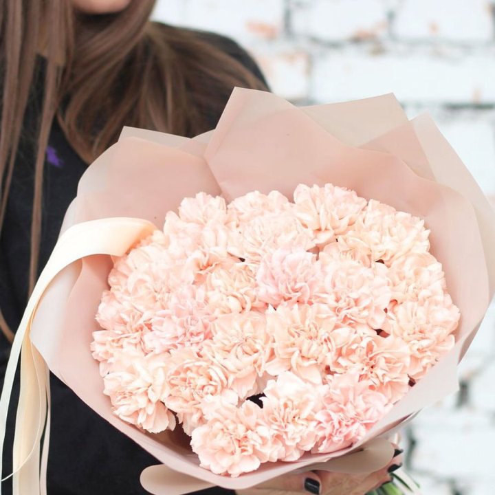 Диантусы №2 в Орле