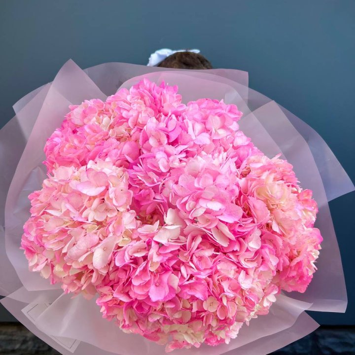 9 ярко розовых гортензий в Орле