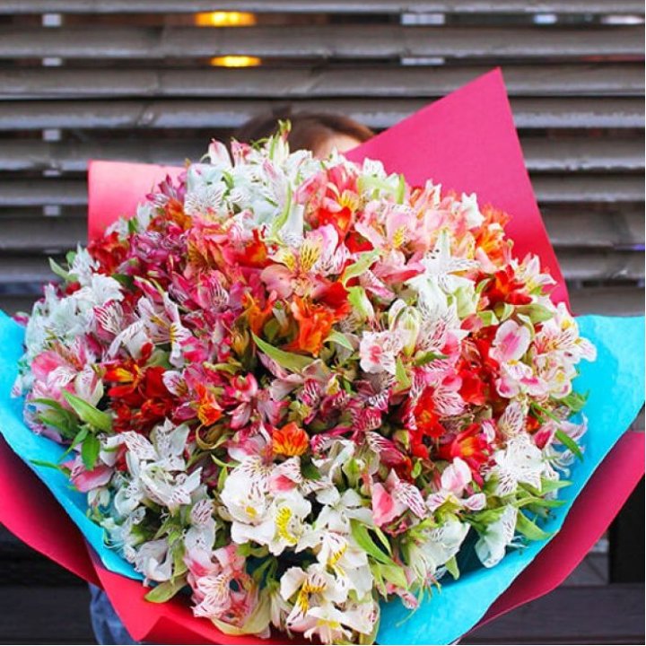 101 альстромерия в Орле