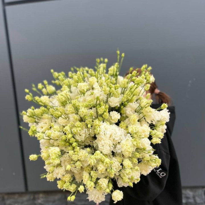 51 белая эустома в Орле