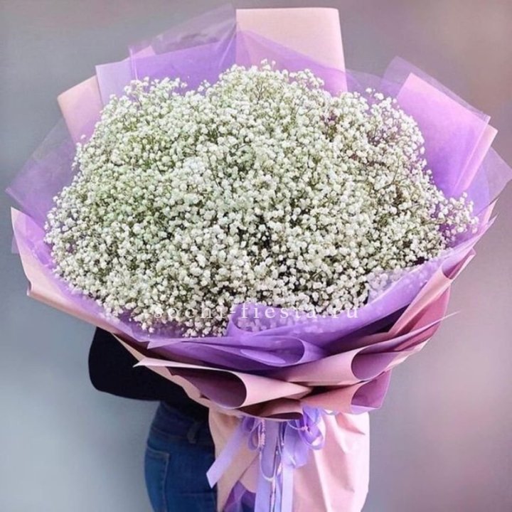 Облако белых гипсофил в Орле