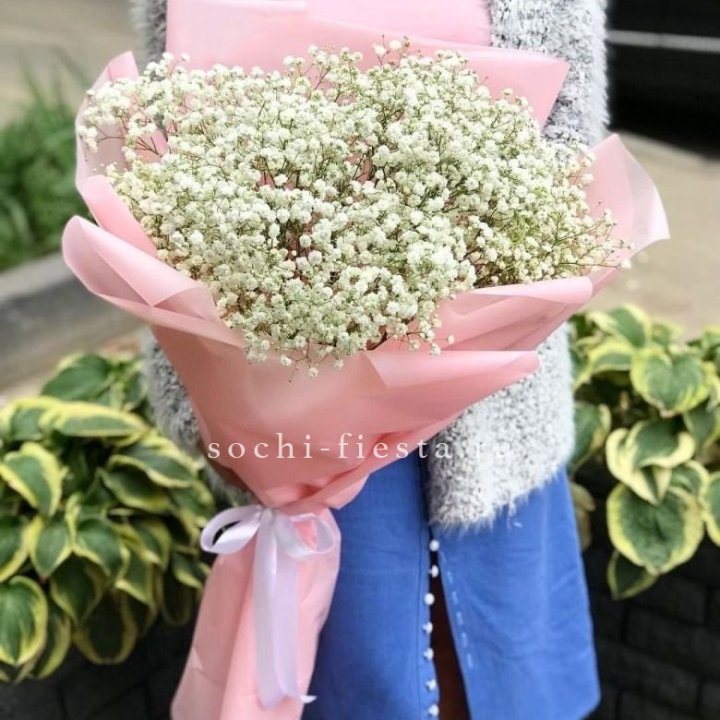 Белоснежные гипсофилы в Орле