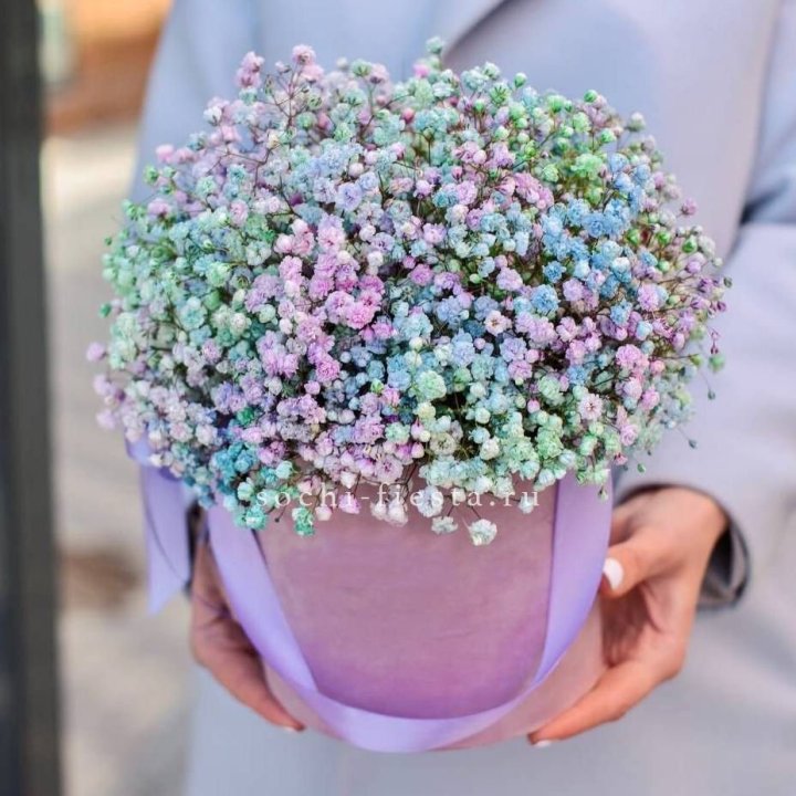 Гипсофилы в шляпной коробке "Кандилайт" в Орле