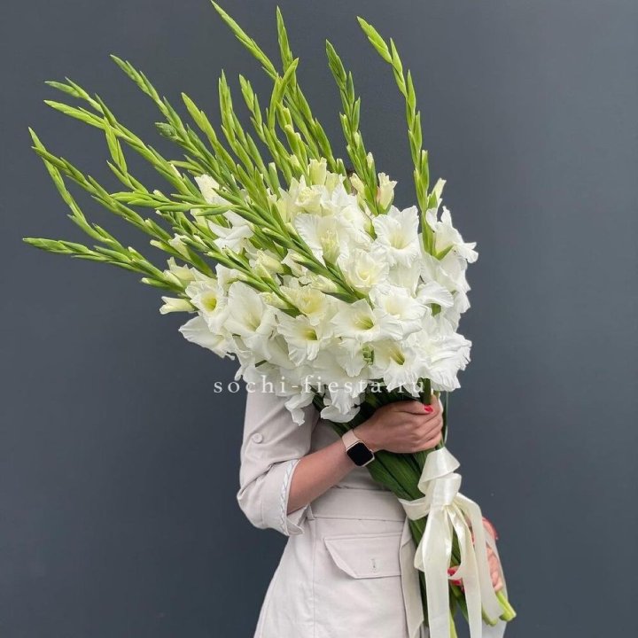 19 белых гладиолусов под ленту в Орле