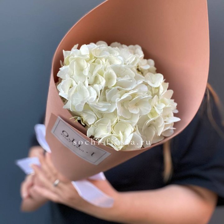 Гортензия в конверте в Орле