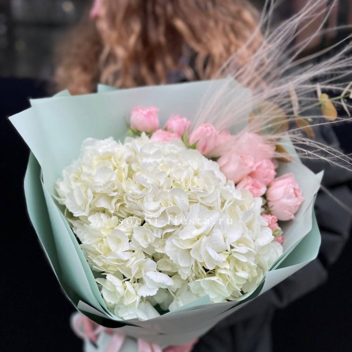 Гортензия "Жасмин" в Орле