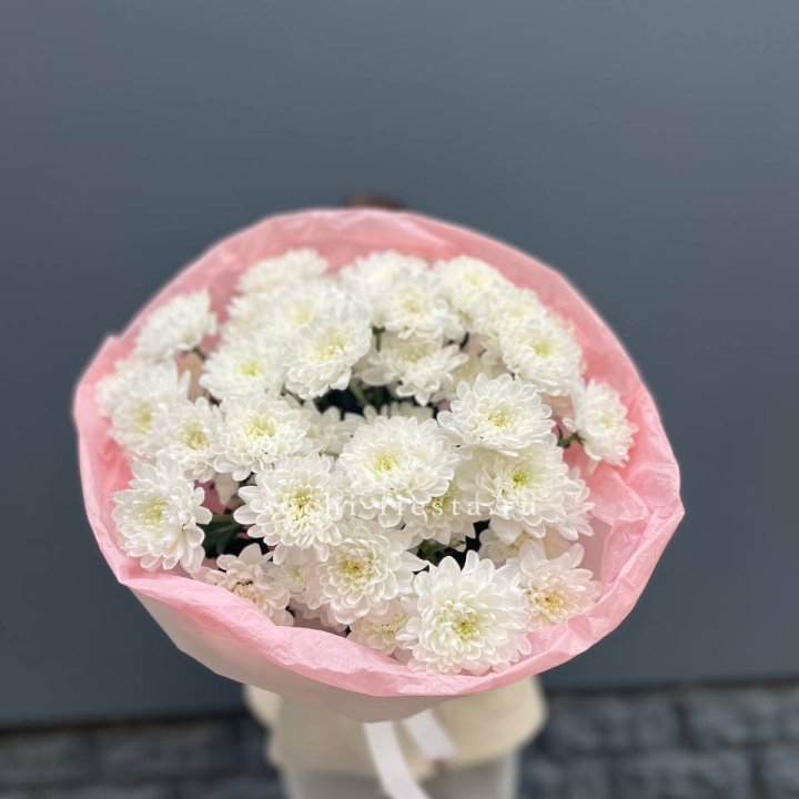  5 хризантем  в Орле