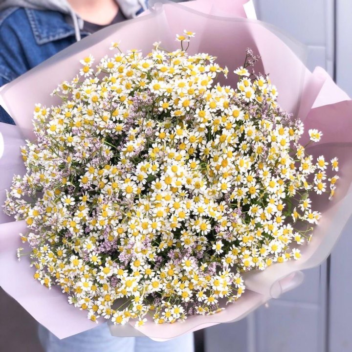 Букет ромашек №1 в Орле