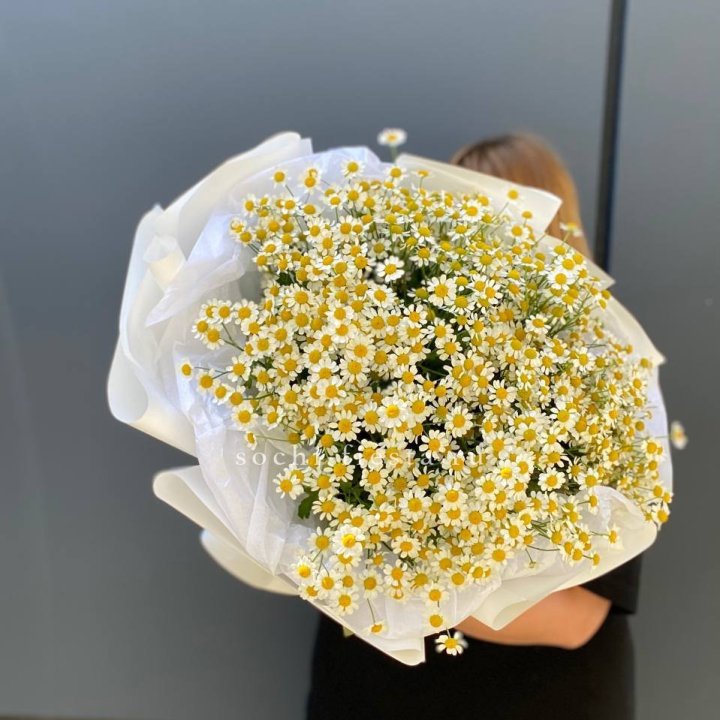 Букет ромашек "Фемели" в Орле
