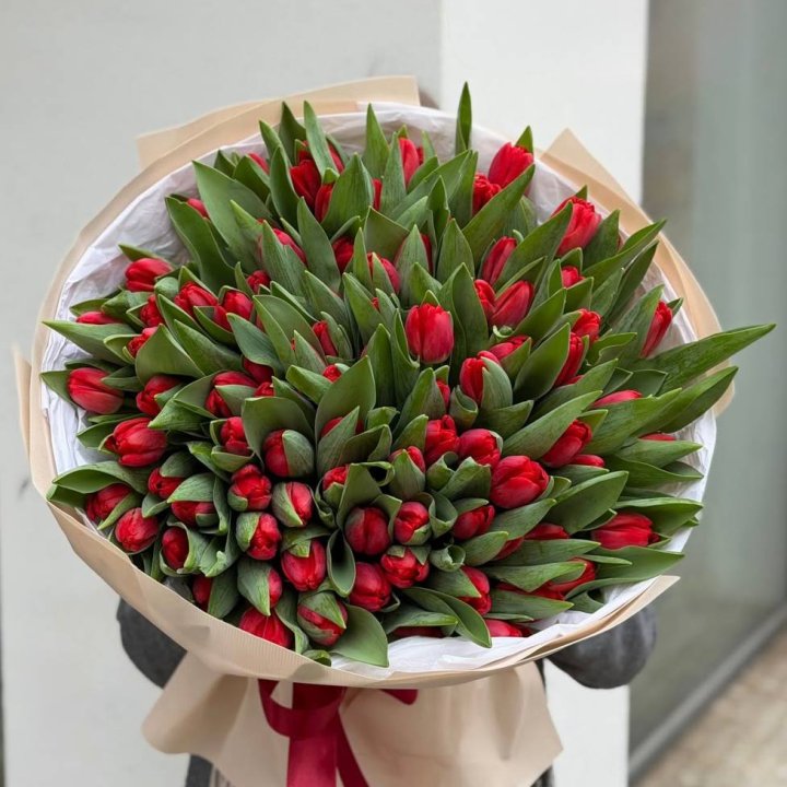 101 красный тюльпан в Орле