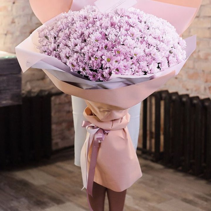 Облако хризантем №1 в Орле