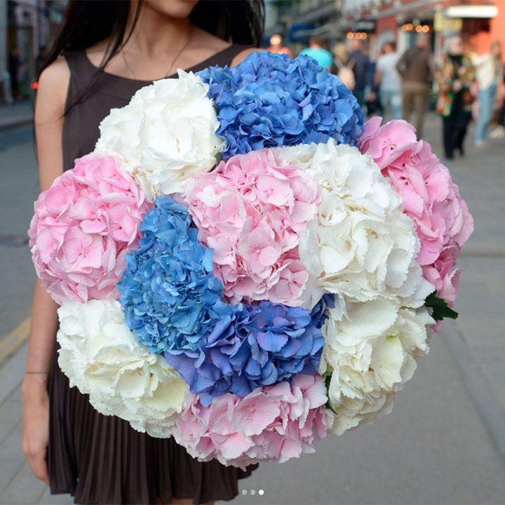 Букет гортензий "Инь-Янь" в Орле