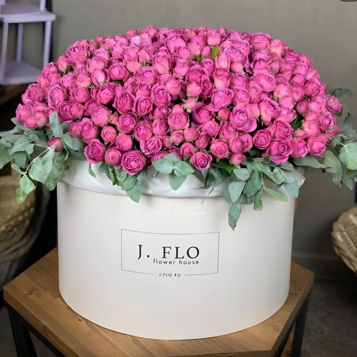 Цилиндр с Мисти Бабблс  в Орле