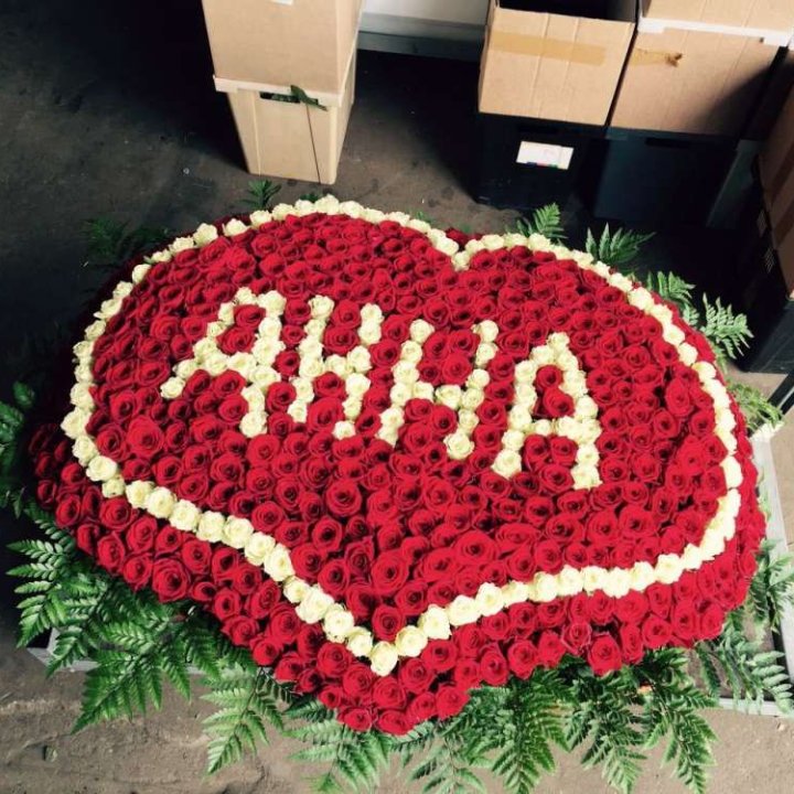 555 роз с именем в Орле