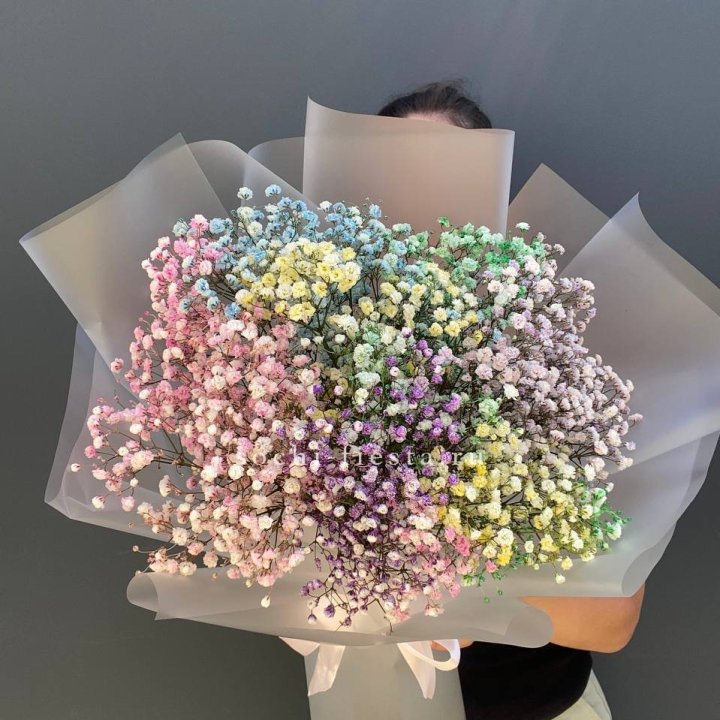 Радужные гипсофилы  в Орле