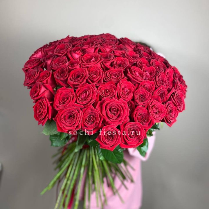 101  голландская роза  в Орле