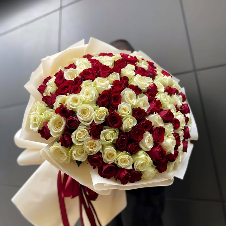 101 высокая импортная роза  в Орле