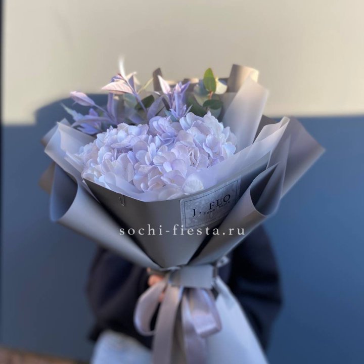 Гортензия "Виолета" в Орле