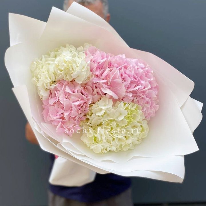 Букет гортензий №5 в Орле