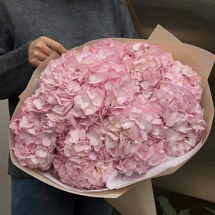 Гортензия  "РОЗЕ" в Орле