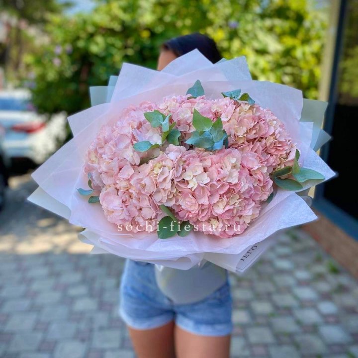 5 розовых гортензий  в Орле