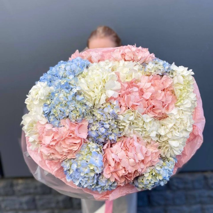 19 гортензий микс в Орле