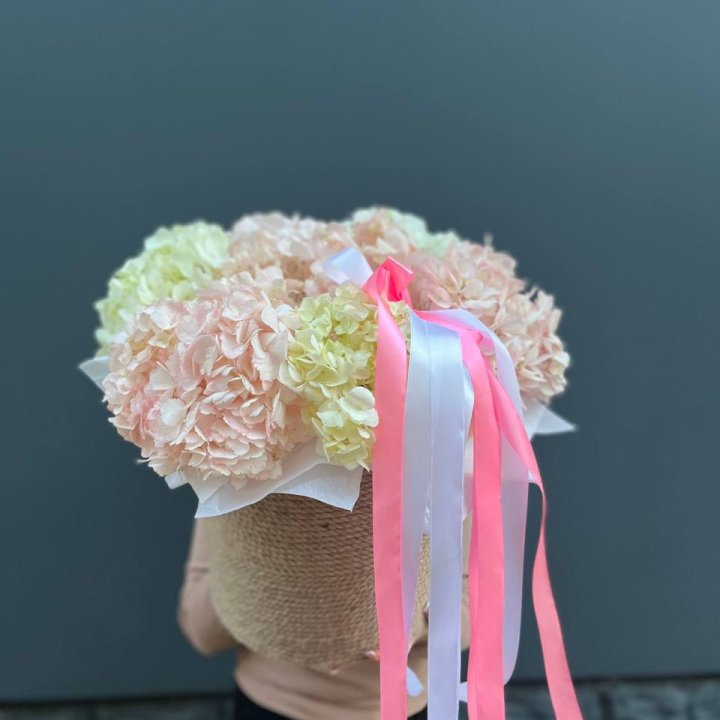 7 гортензий в кашпо в Орле