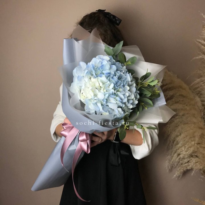 Гортензия Уно в Орле