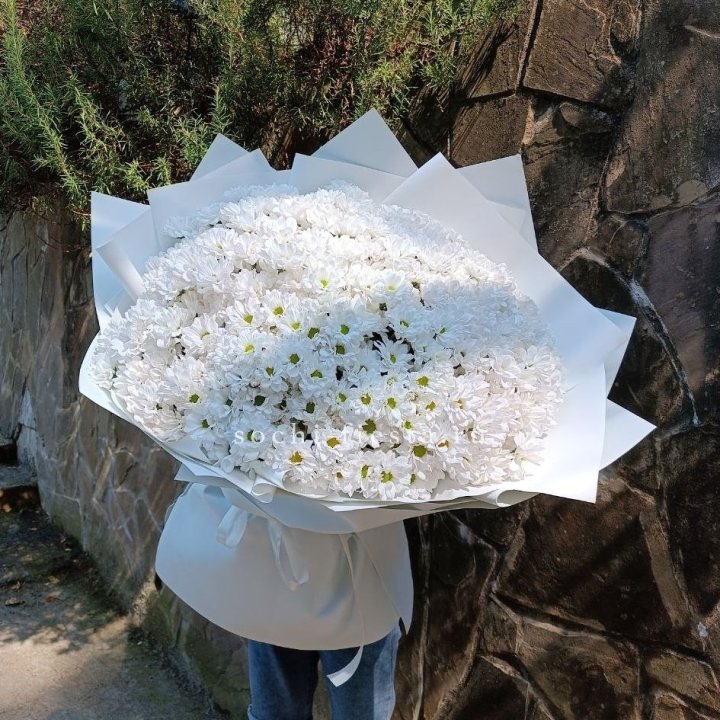 Облако хризантем №2 в Орле