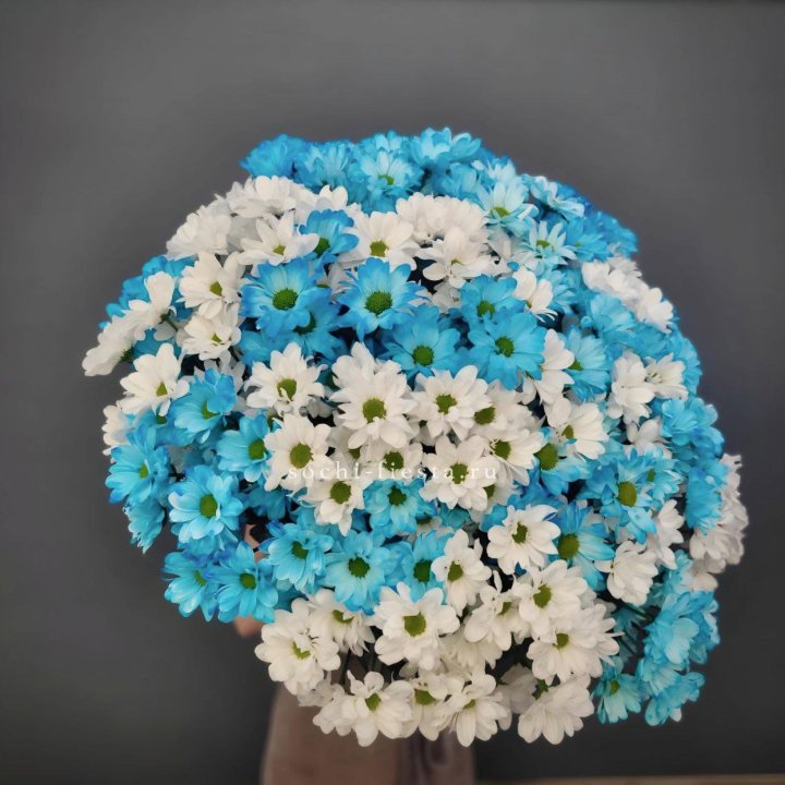  Букет хризантем микс в Орле