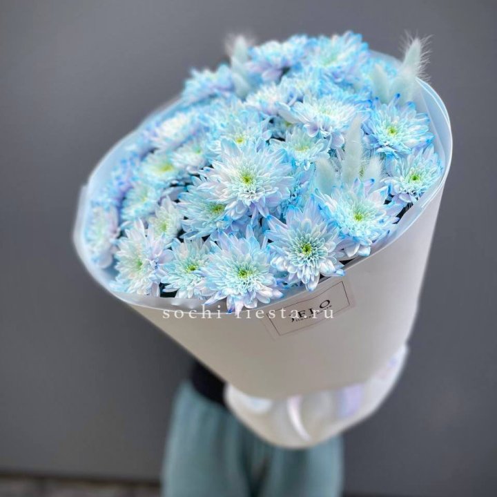  Букет нежно-голубых хризантем  в Орле