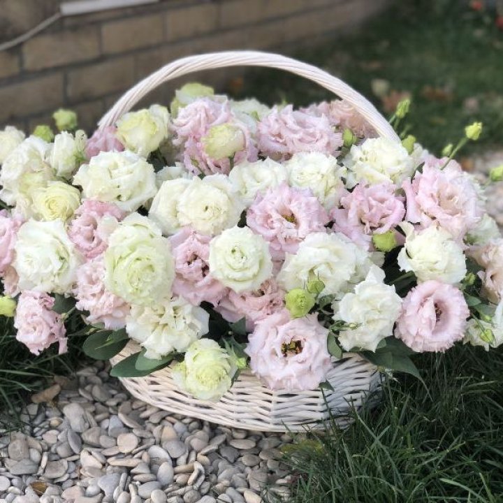 Корзина с эустомой в Орле