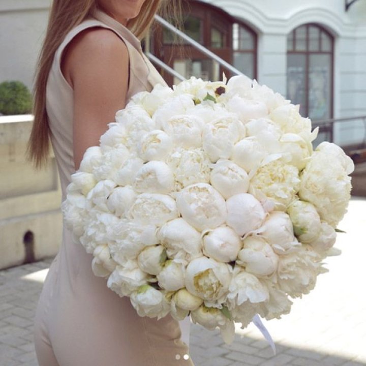 51 белый пион в Орле