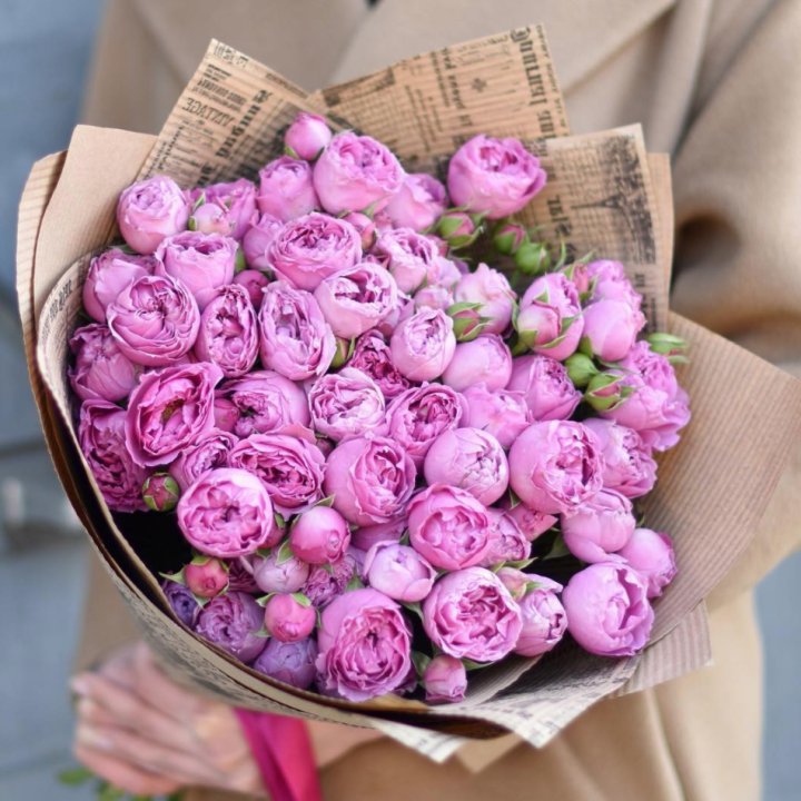 Роза Мисти Баблс в Орле