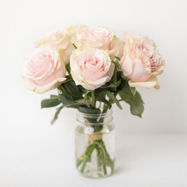 7 кремовых роз в Орле