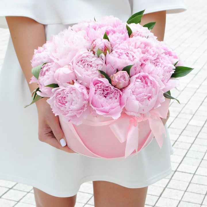 Пионы в шляпной коробке в Орле