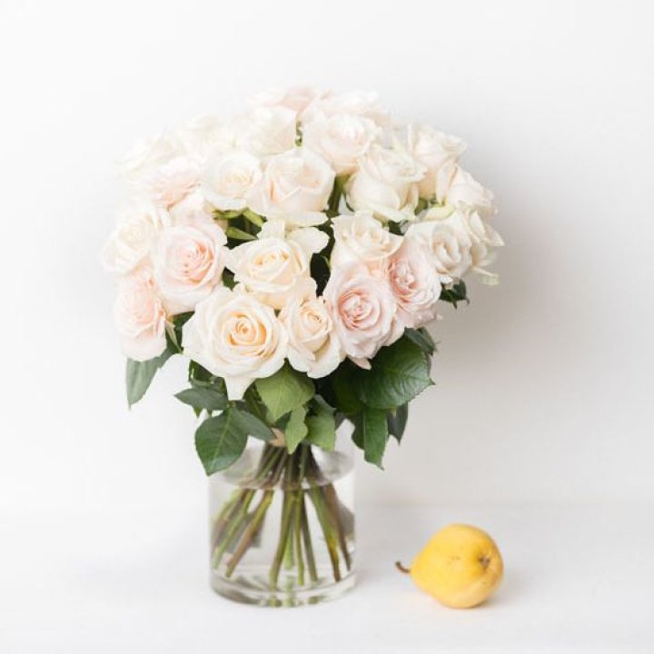 25 кремовых роз в Орле