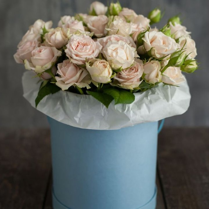 Бокс с бомбастиком в Орле