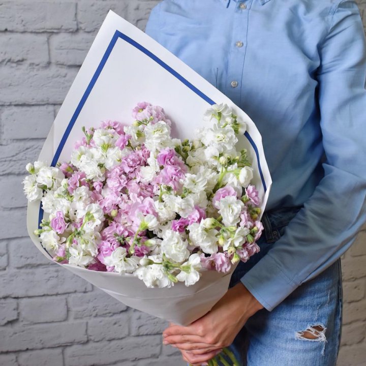 Маттиола в Орле