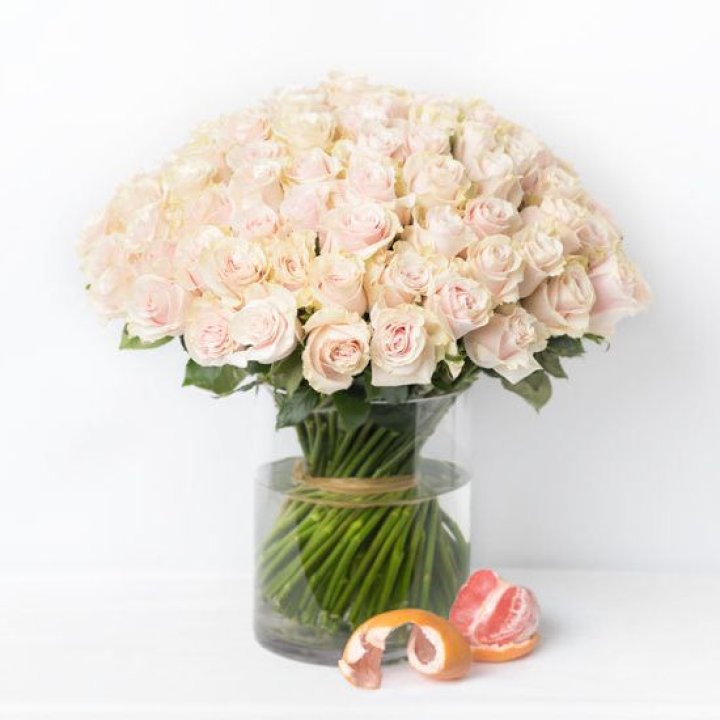 101 кремовая роза в Орле