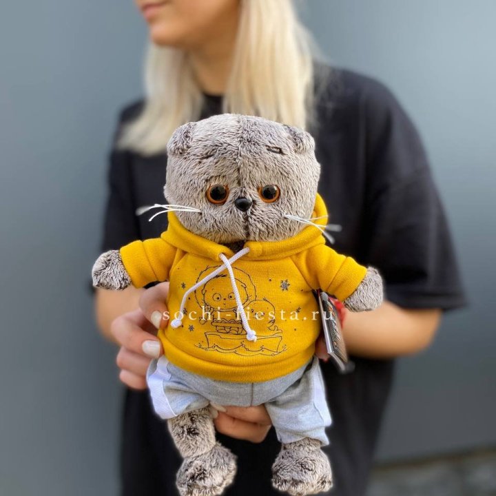 Кот Басик в худи в Орле