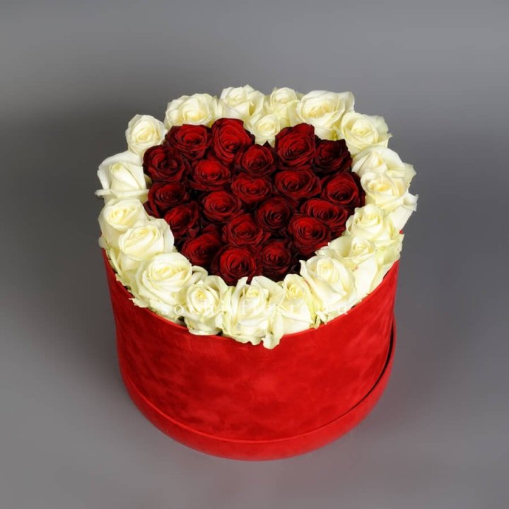 39 красных и белых роз в цилиндре в Орле