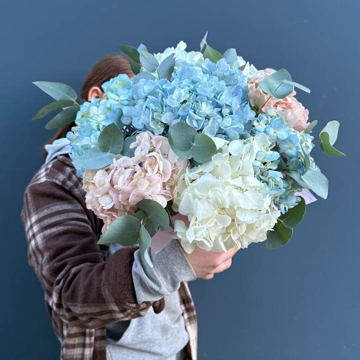 Гортензии в коробочке в Орле