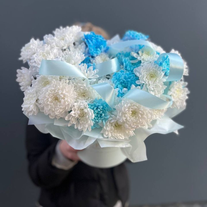 Хризнтемы в боксе в Орле