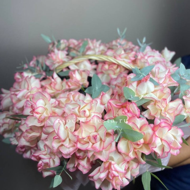 51 джумилия  в корзине   в Орле