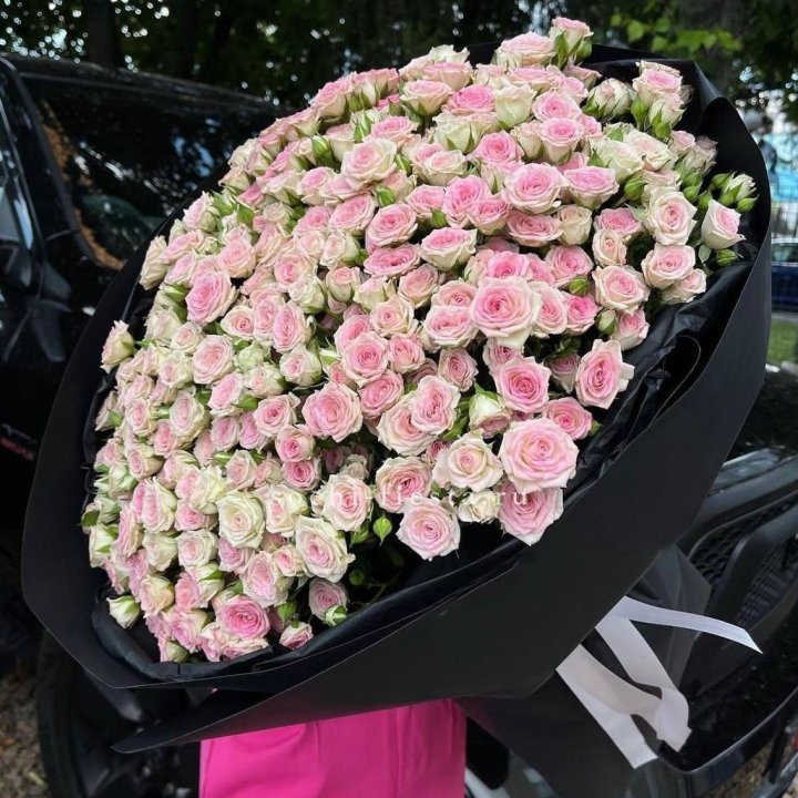 101 кустовая роза "Твистер" в Орле